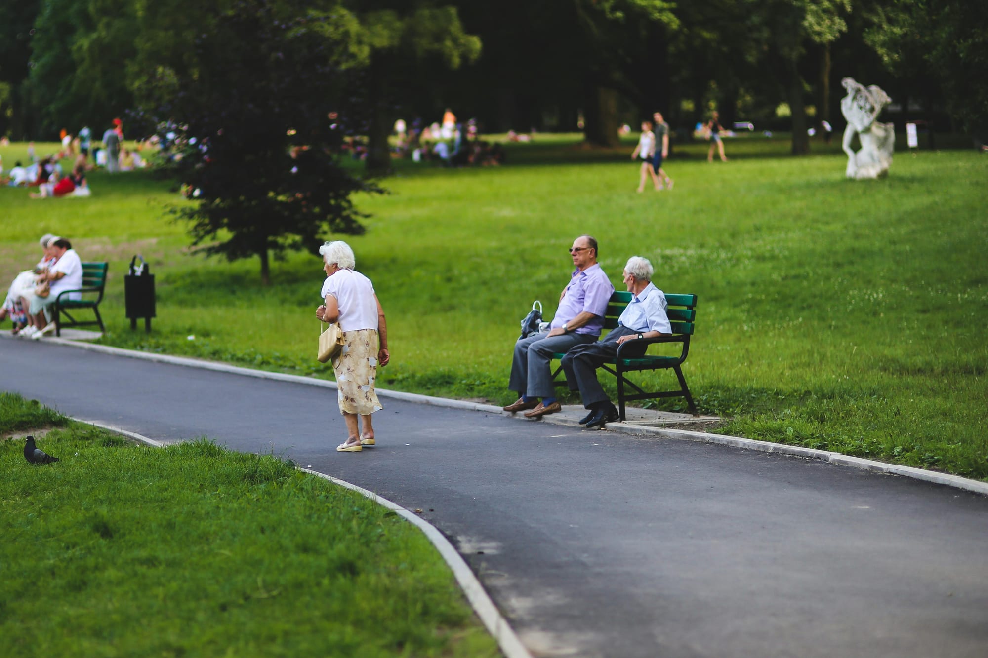 Average 401(k) Balance for Seniors: How You Compare